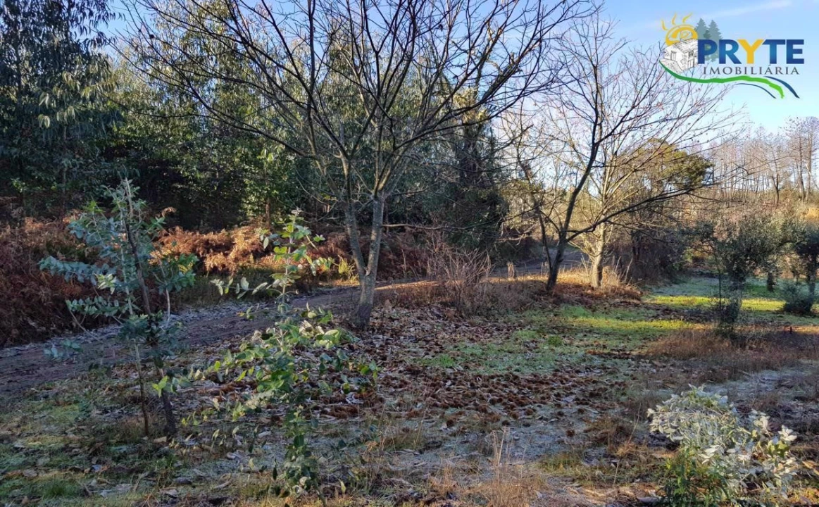 Quinta para Venda em Pedrogão Pequeno Foto 7