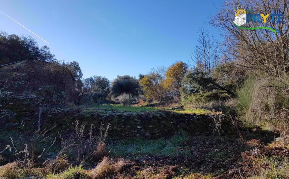 Quinta para Venda em Pedrogão Pequeno Foto 8