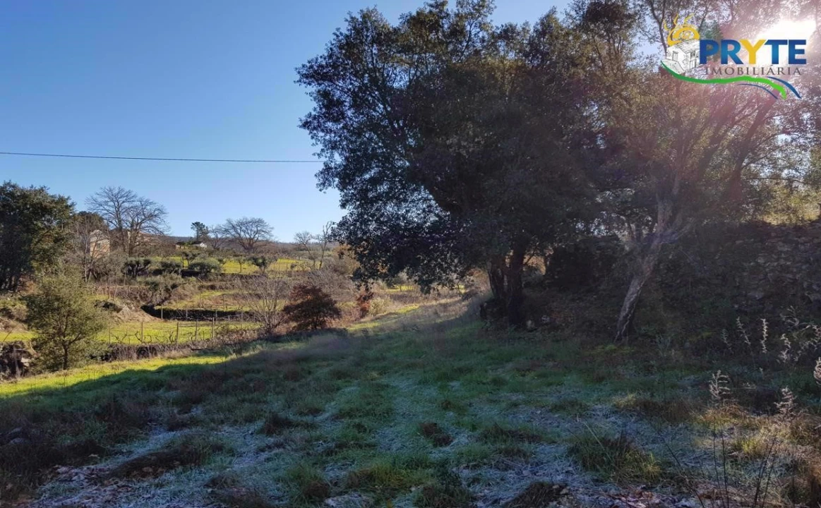 Quinta para Venda em Pedrogão Pequeno Foto 10