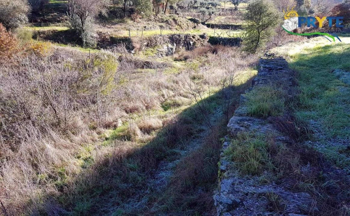 Quinta para Venda em Pedrogão Pequeno Foto 11