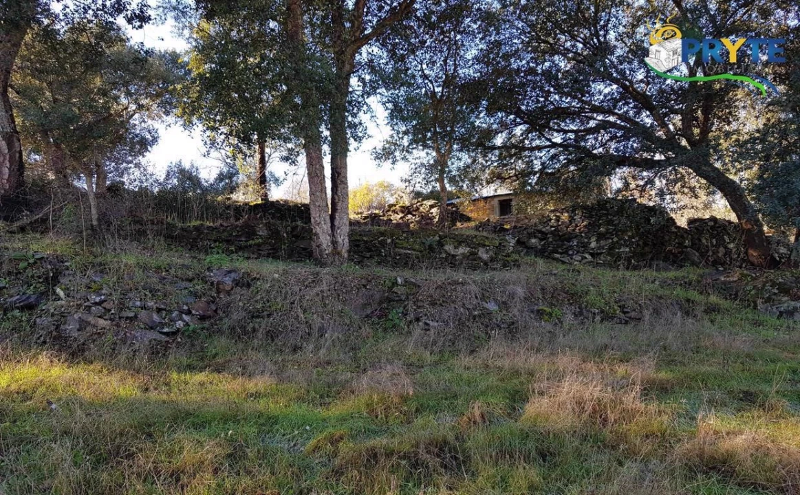 Quinta para Venda em Pedrogão Pequeno Foto 13