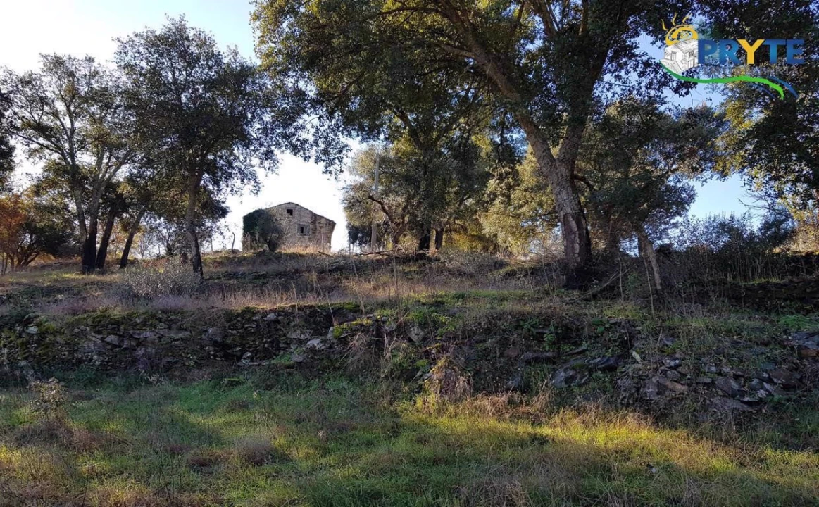 Quinta para Venda em Pedrogão Pequeno Foto 14