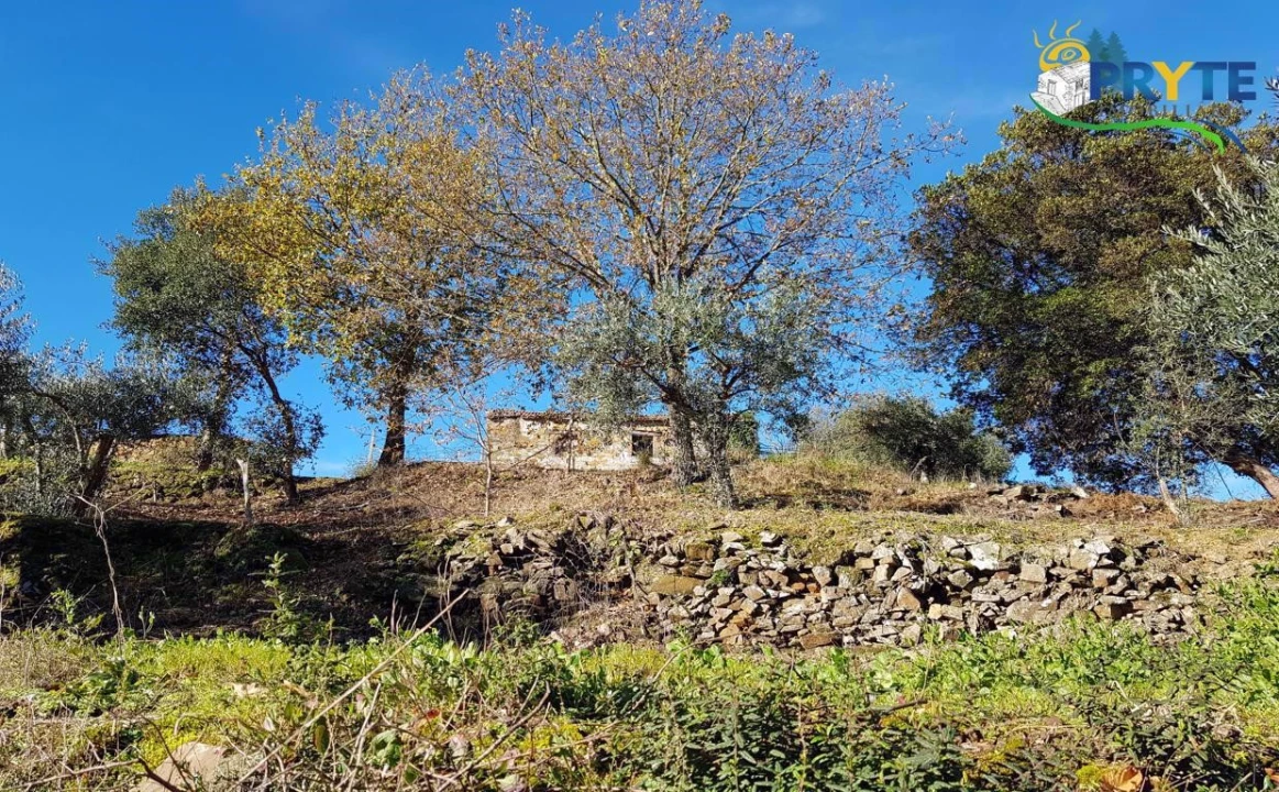Quinta para Venda em Pedrogão Pequeno Foto 17