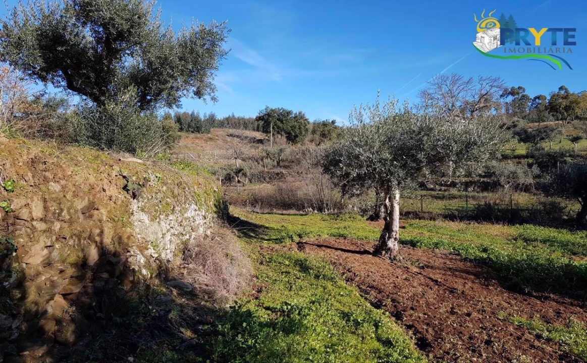 Quinta para Venda em Pedrogão Pequeno Foto 18