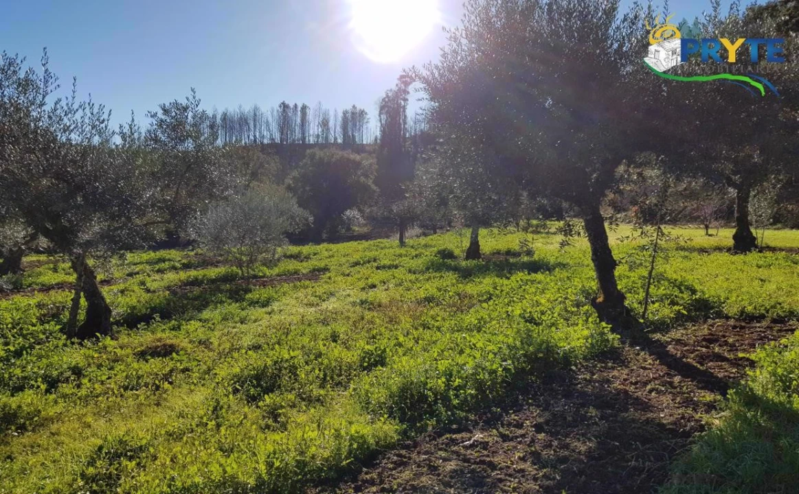 Quinta para Venda em Pedrogão Pequeno Foto 19