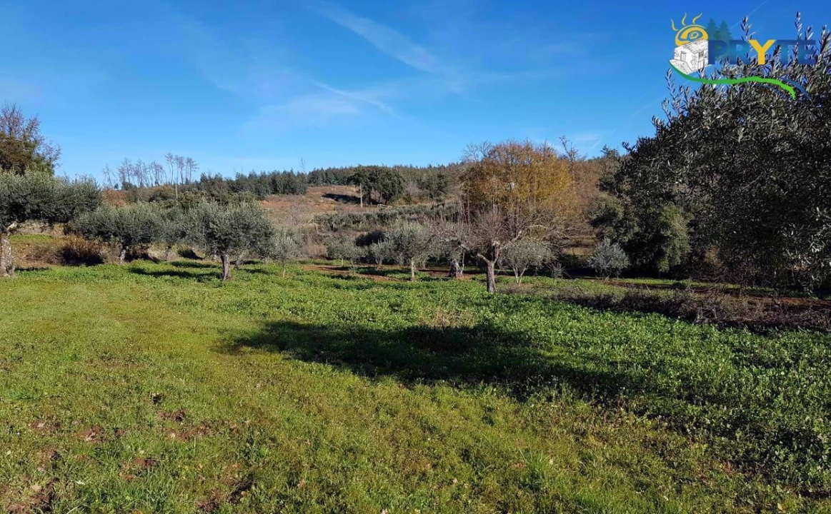 Quinta para Venda em Pedrogão Pequeno Foto 20