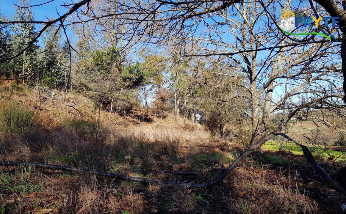 Quinta para Venda em Pedrogão Pequeno Foto 24