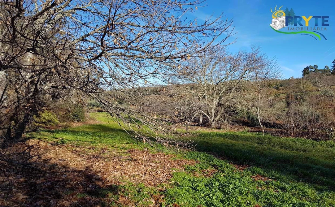 Quinta para Venda em Pedrogão Pequeno Foto 25