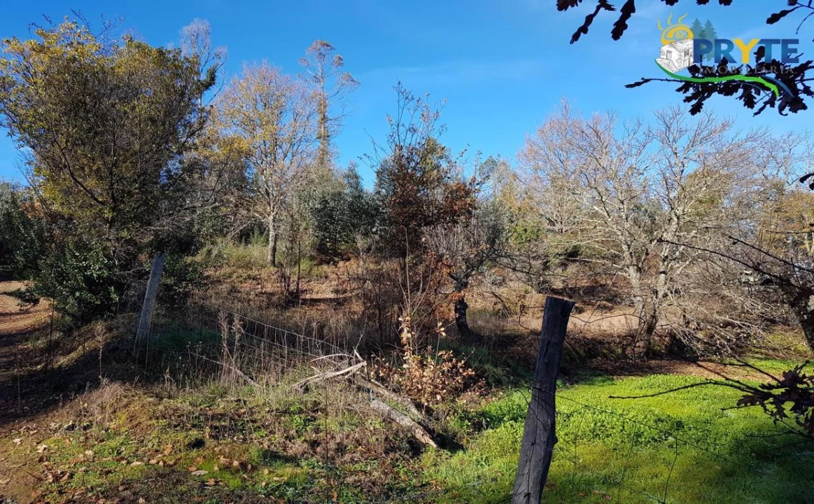 Quinta para Venda em Pedrogão Pequeno Foto 28