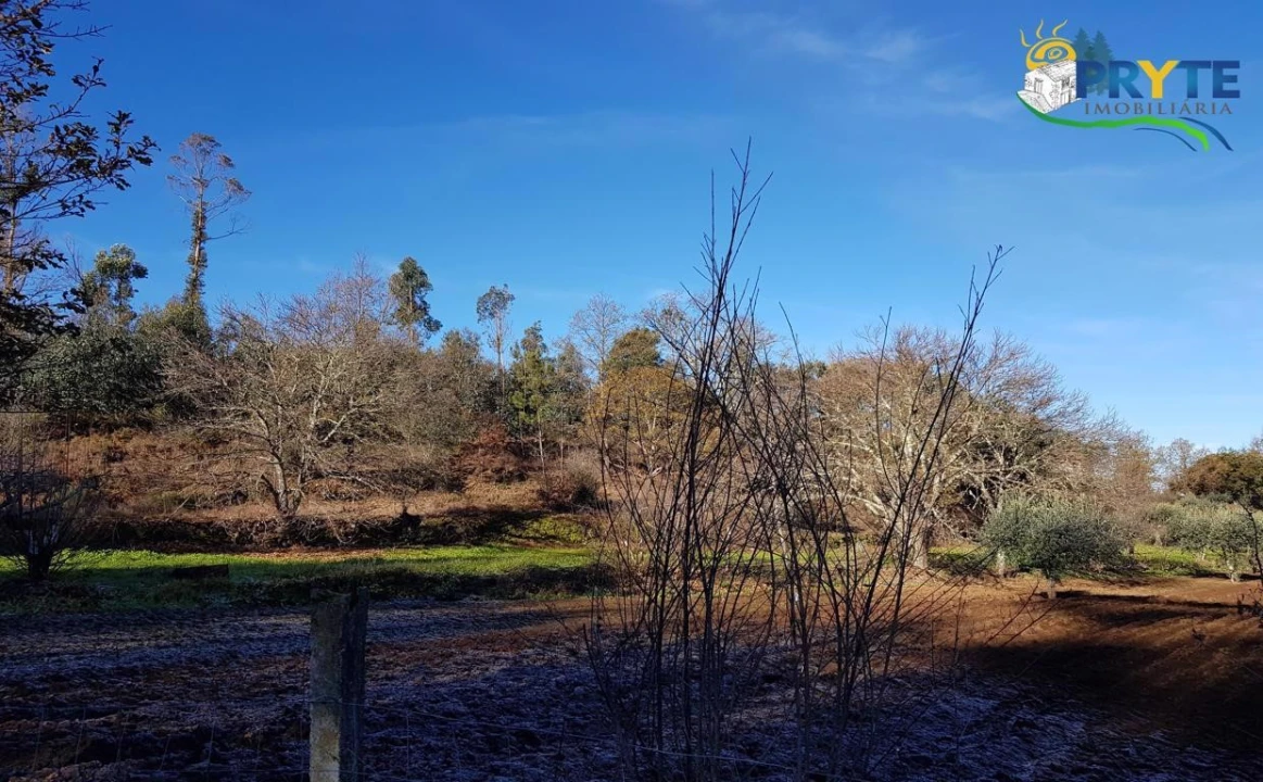 Quinta para Venda em Pedrogão Pequeno Foto 30