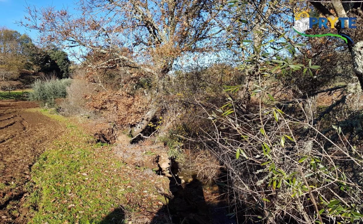 Quinta para Venda em Pedrogão Pequeno Foto 31