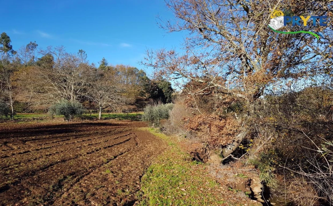 Quinta para Venda em Pedrogão Pequeno Foto 32