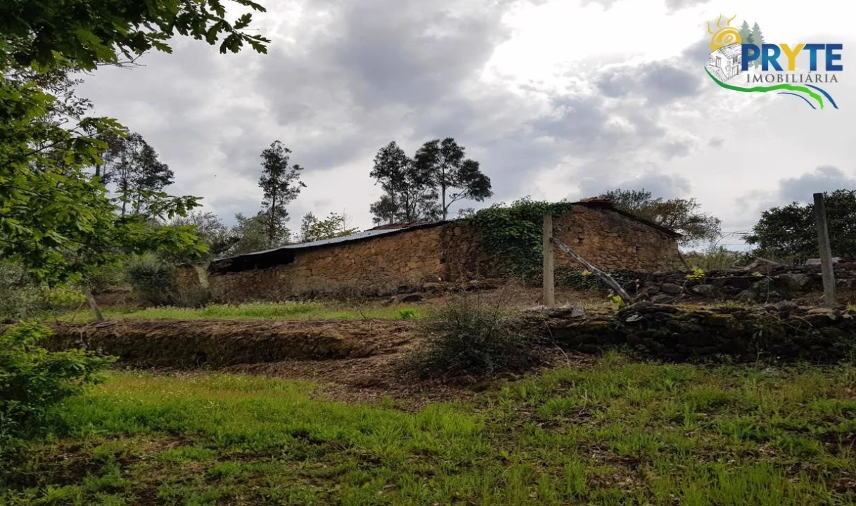 Quinta para Venda em Pedrogão Pequeno Foto 50