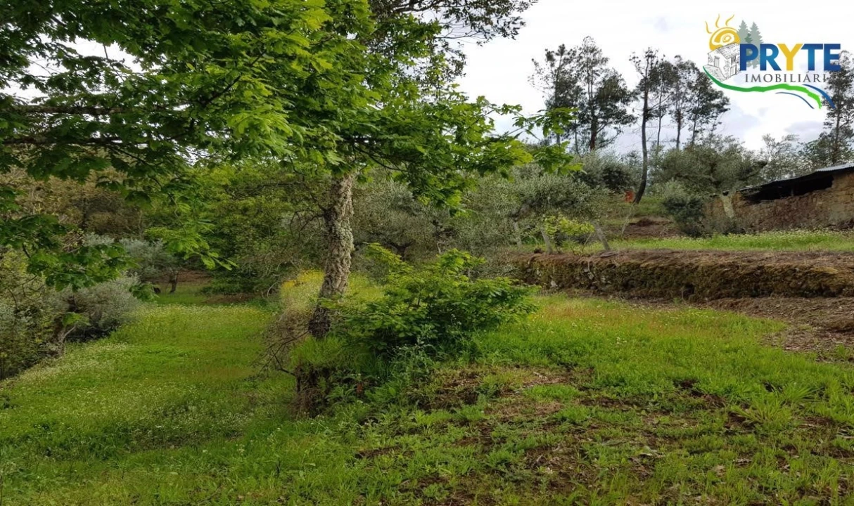Quinta para Venda em Pedrogão Pequeno Foto 51