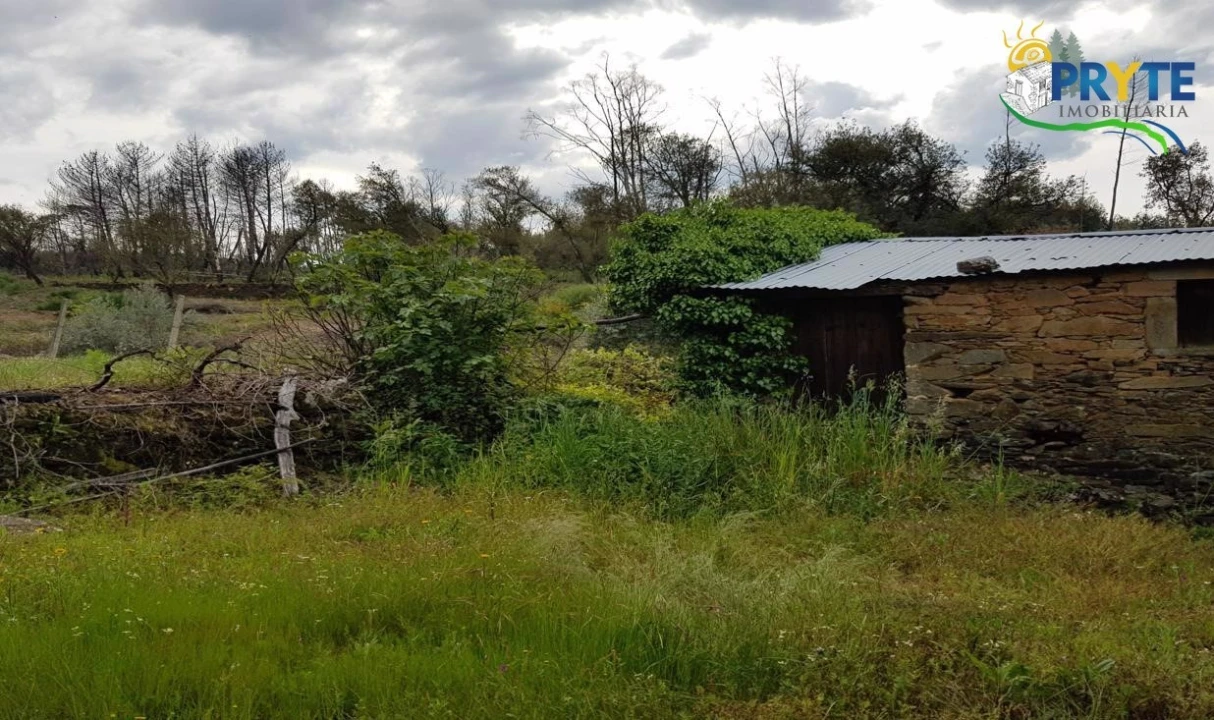 Quinta para Venda em Pedrogão Pequeno Foto 53