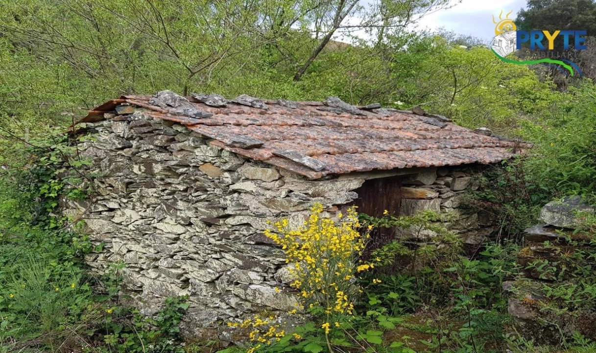 Quinta para Venda em Pedrogão Pequeno Foto 56