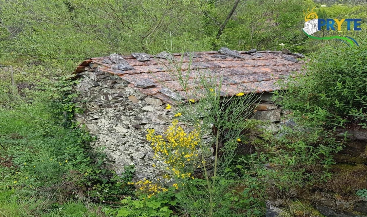 Quinta para Venda em Pedrogão Pequeno Foto 57