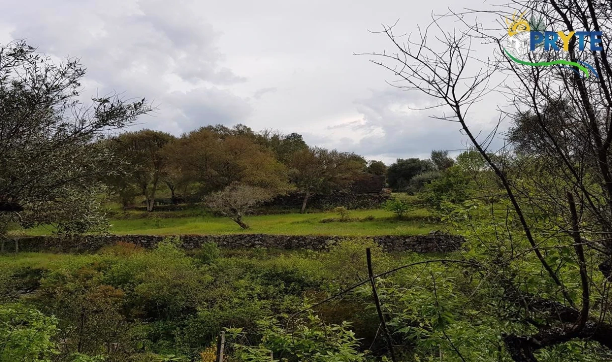 Quinta para Venda em Pedrogão Pequeno Foto 59