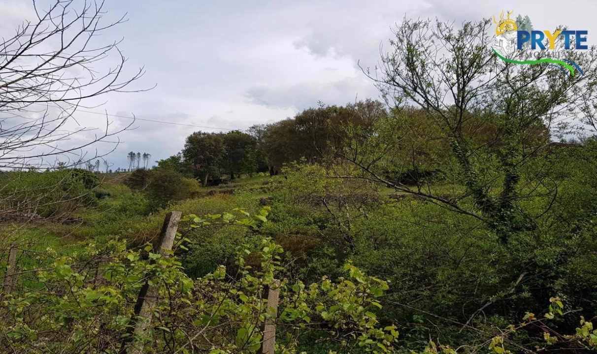 Quinta para Venda em Pedrogão Pequeno Foto 61