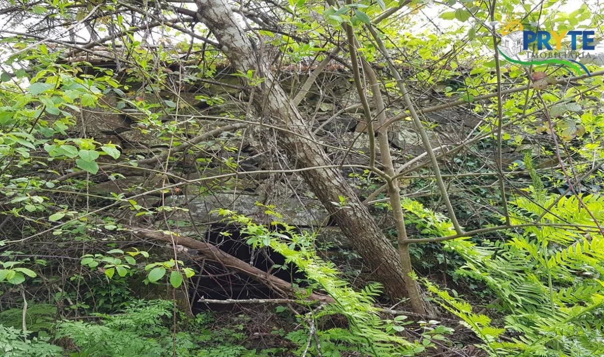 Quinta para Venda em Pedrogão Pequeno Foto 62