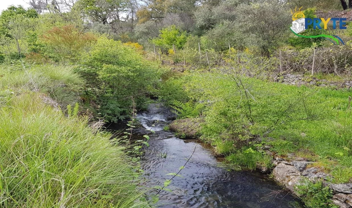 Quinta para Venda em Pedrogão Pequeno Foto 63