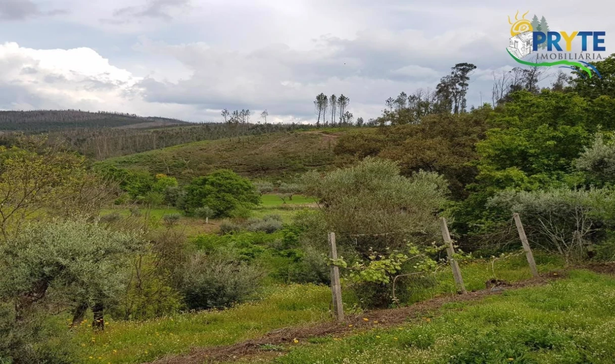 Quinta para Venda em Pedrogão Pequeno Foto 67