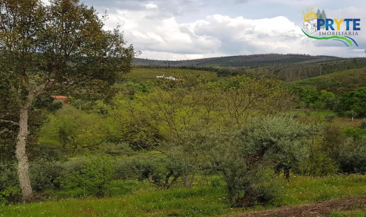 Quinta para Venda em Pedrogão Pequeno Foto 68