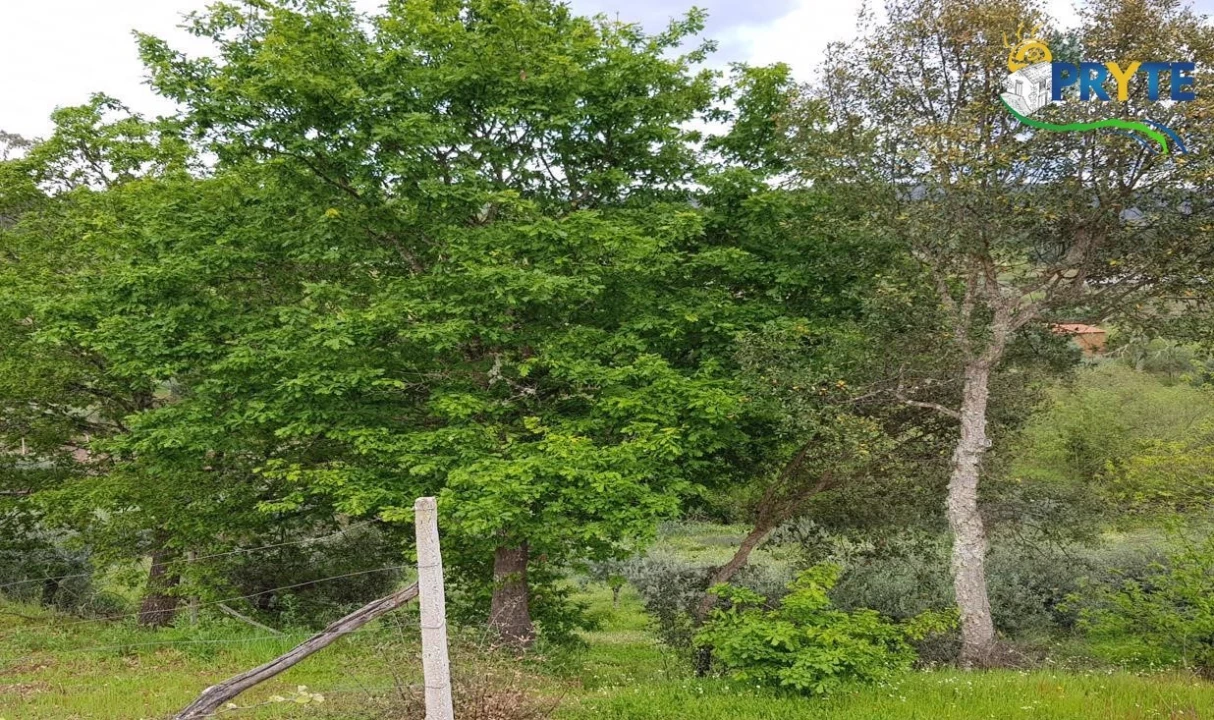 Quinta para Venda em Pedrogão Pequeno Foto 69