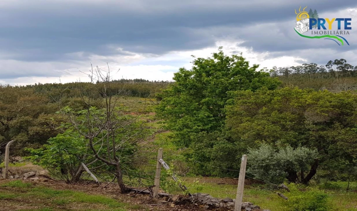 Quinta para Venda em Pedrogão Pequeno Foto 70