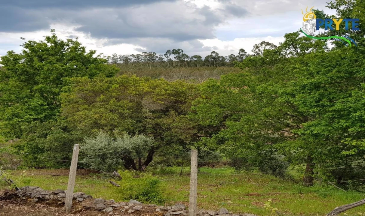 Quinta para Venda em Pedrogão Pequeno Foto 71