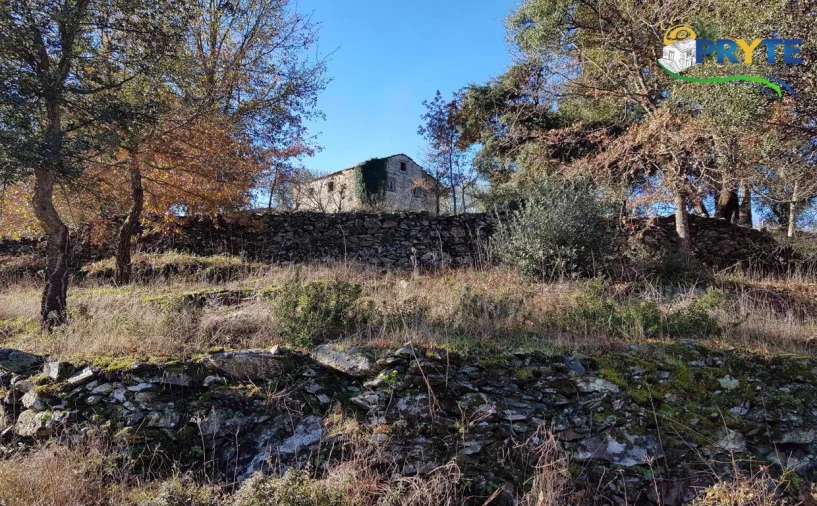 Quinta para Venda em Pedrogão Pequeno Foto 4
