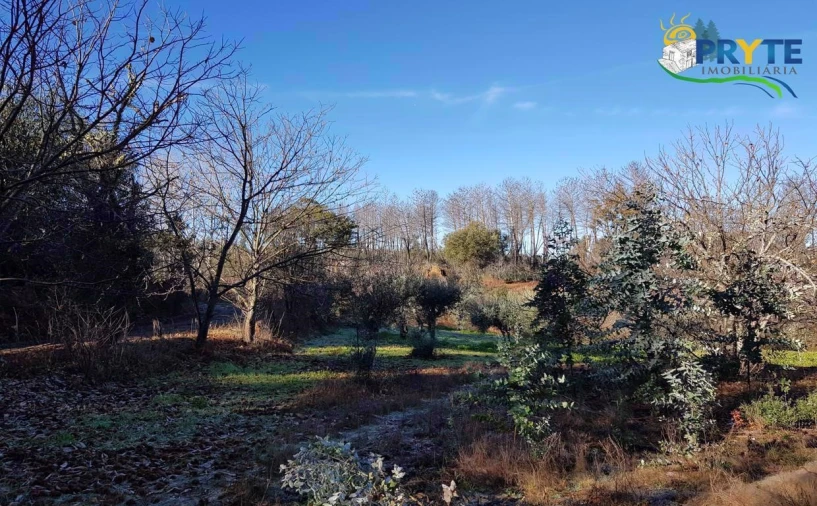 Quinta para Venda em Pedrogão Pequeno Foto 6
