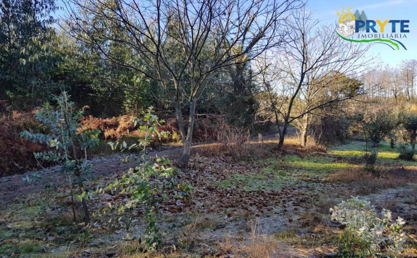 Quinta para Venda em Pedrogão Pequeno Foto 7
