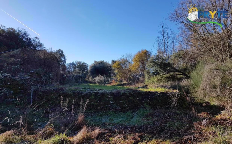 Quinta para Venda em Pedrogão Pequeno Foto 8
