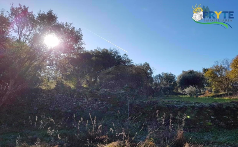 Quinta para Venda em Pedrogão Pequeno Foto 9