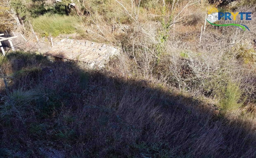 Quinta para Venda em Pedrogão Pequeno Foto 12