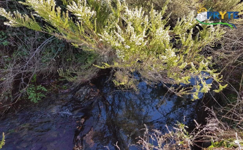 Quinta para Venda em Pedrogão Pequeno Foto 15