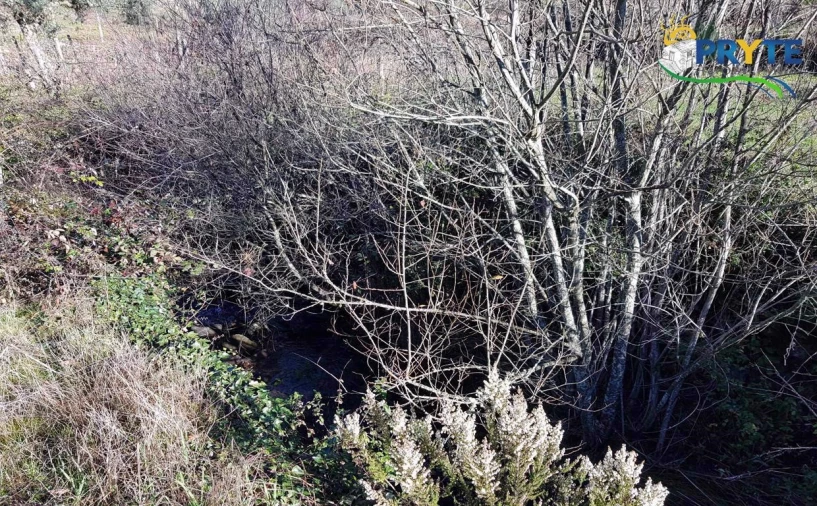 Quinta para Venda em Pedrogão Pequeno Foto 16