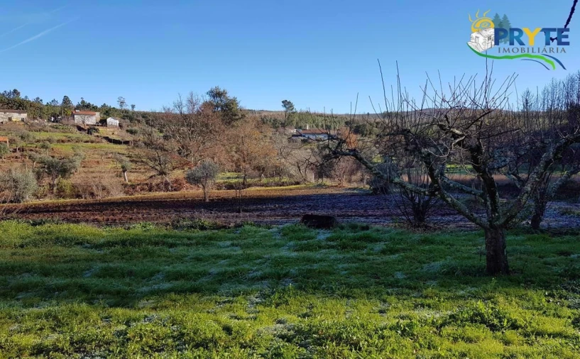 Quinta para Venda em Pedrogão Pequeno Foto 26