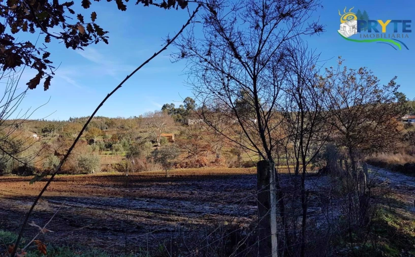 Quinta para Venda em Pedrogão Pequeno Foto 27