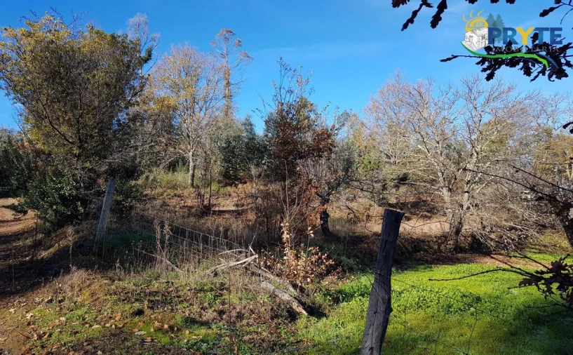 Quinta para Venda em Pedrogão Pequeno Foto 28