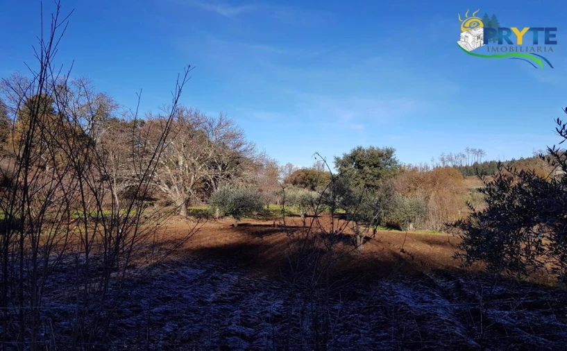 Quinta para Venda em Pedrogão Pequeno Foto 29