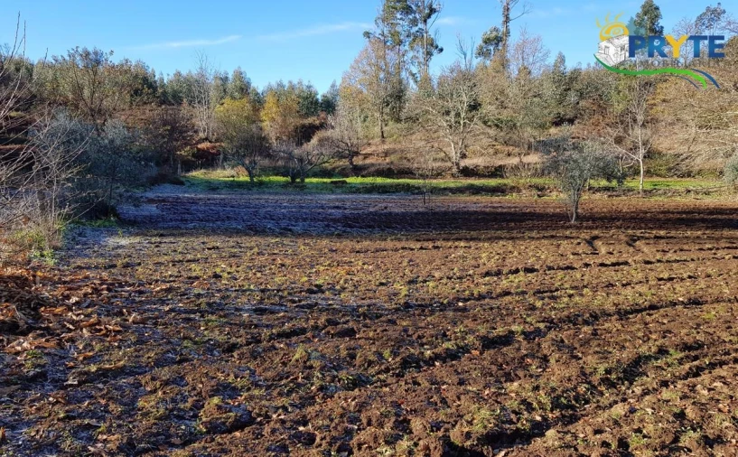 Quinta para Venda em Pedrogão Pequeno Foto 33
