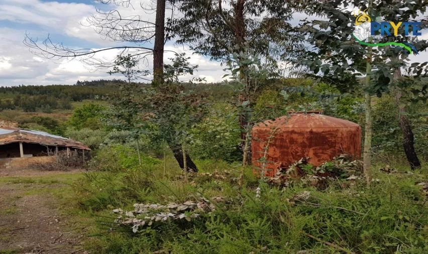 Quinta para Venda em Pedrogão Pequeno Foto 34
