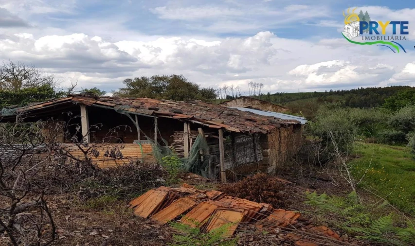 Quinta para Venda em Pedrogão Pequeno Foto 36