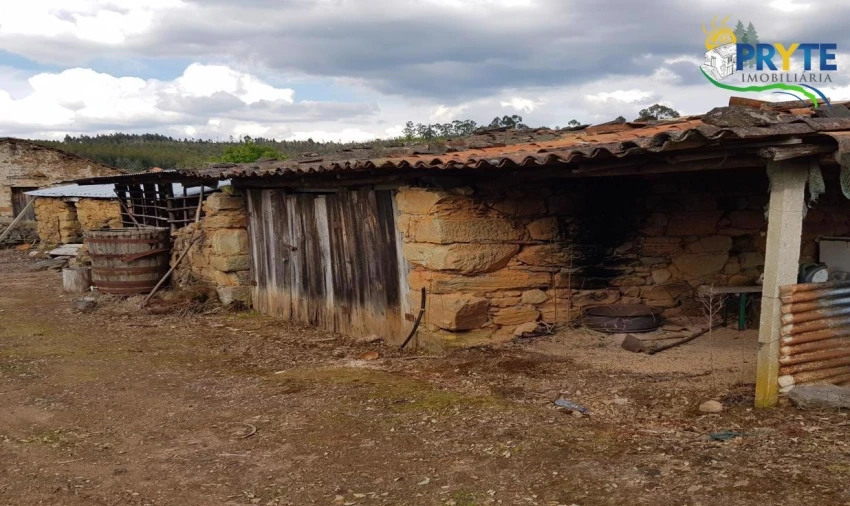 Quinta para Venda em Pedrogão Pequeno Foto 38