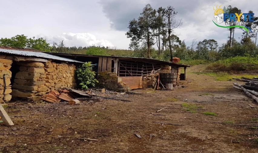Quinta para Venda em Pedrogão Pequeno Foto 43