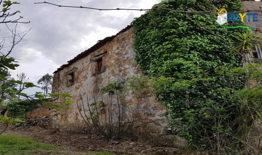 Quinta para Venda em Pedrogão Pequeno Foto 47