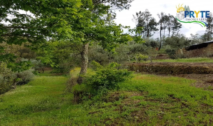 Quinta para Venda em Pedrogão Pequeno Foto 51