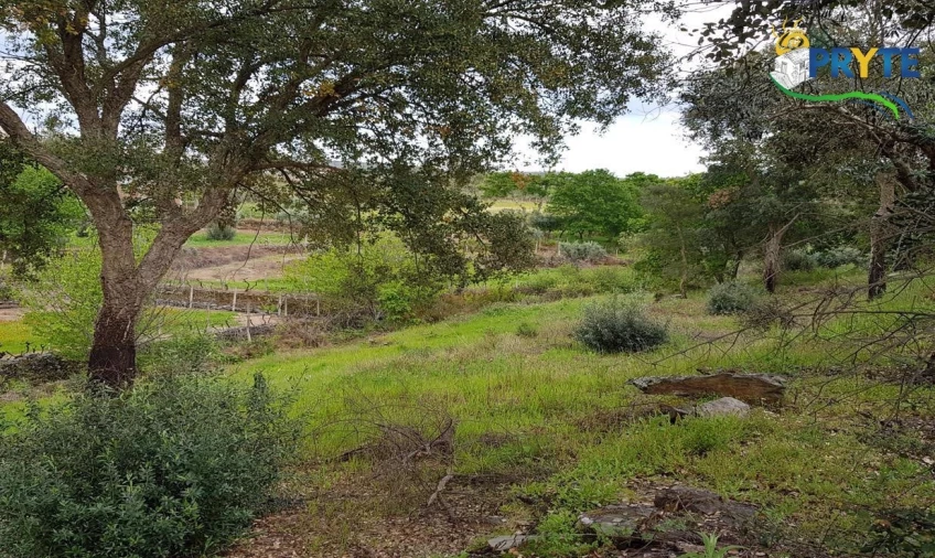 Quinta para Venda em Pedrogão Pequeno Foto 55